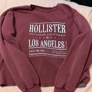 hollister cropped sweatshirt